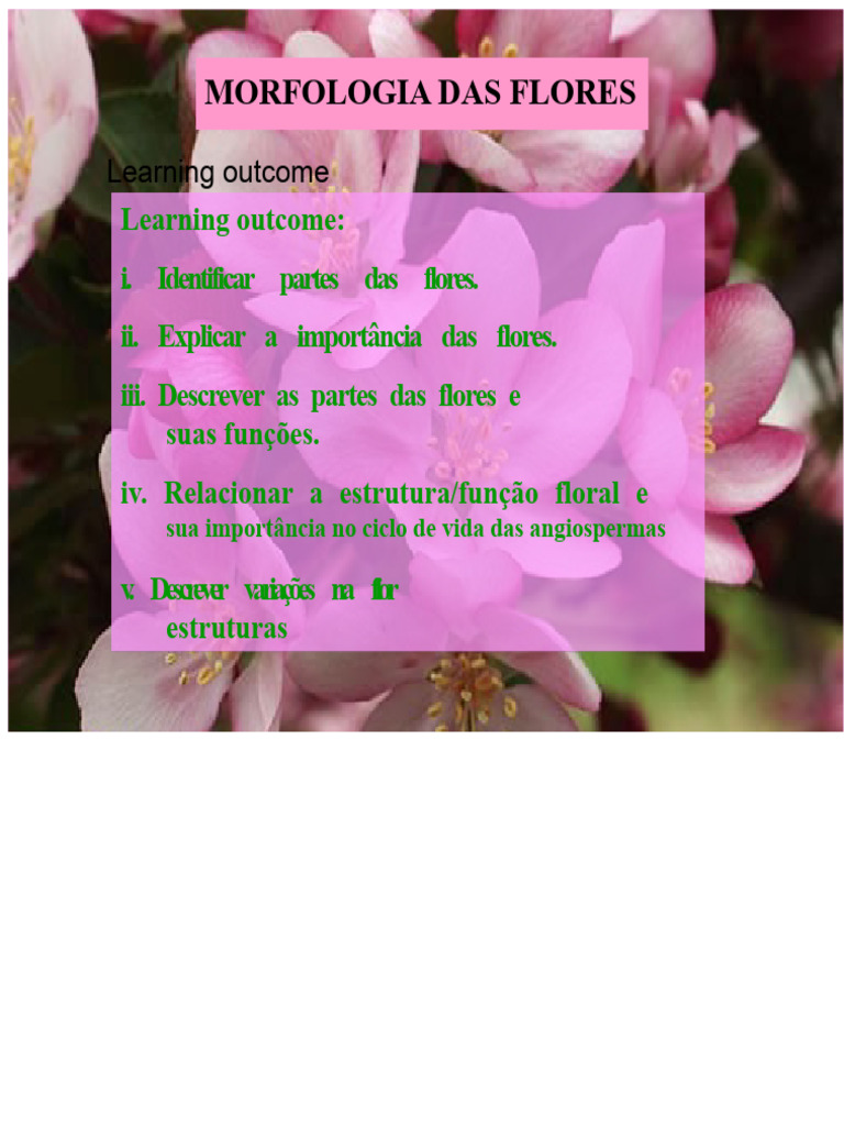 Morfologia das Flores: Estruturas e Funções | PDF | Flores | Plantas