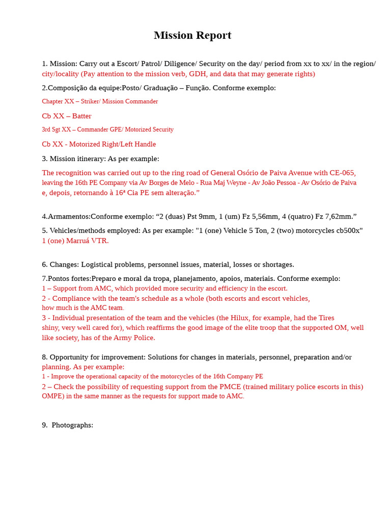 Security Mission Report Overview | PDF