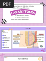 Steps for Exploratory Laparotomy | PDF | Surgical Suture | Surgery