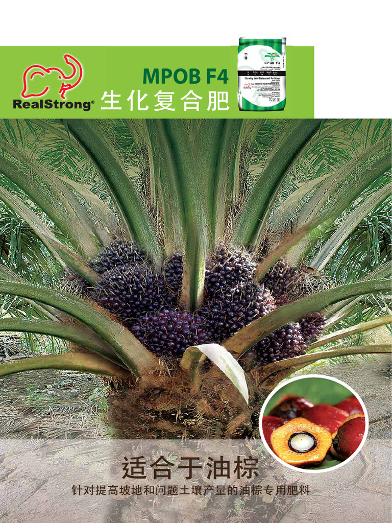 Mpob CN | PDF
