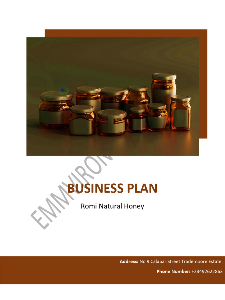 romi-natural-honey-business-plan-pdf-expense-business-economics