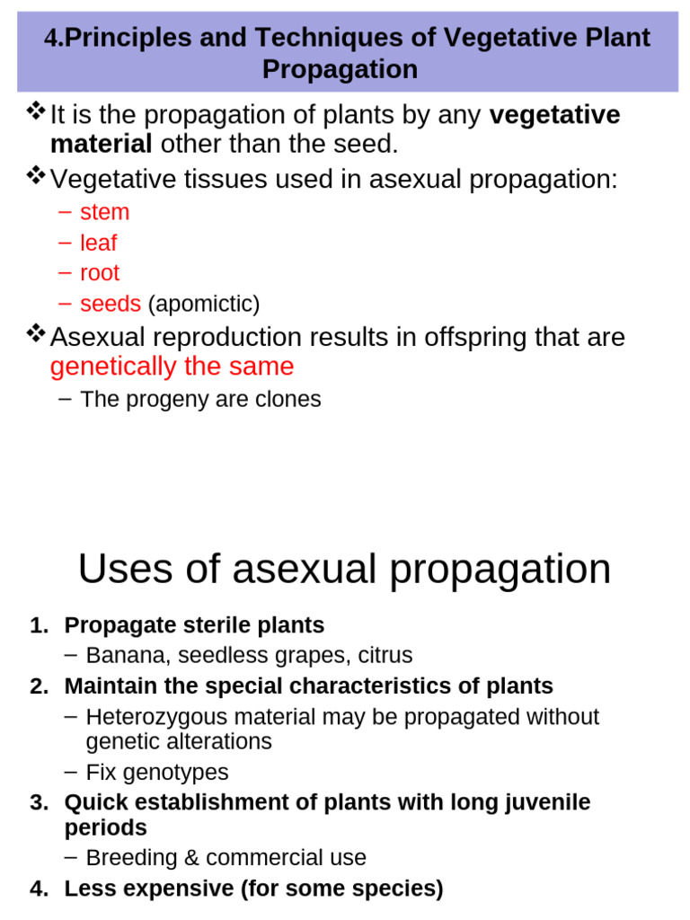 Vegetative Plant Propagation Techniques | PDF | Grafting | Root