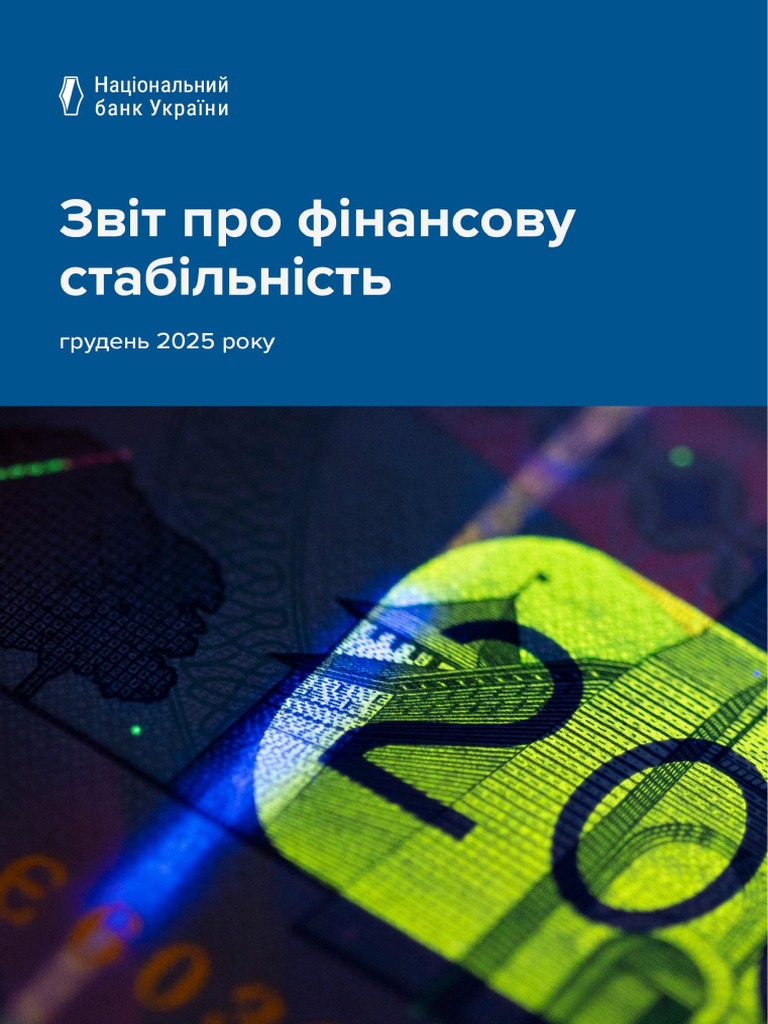 FSR 2025-H2 | PDF