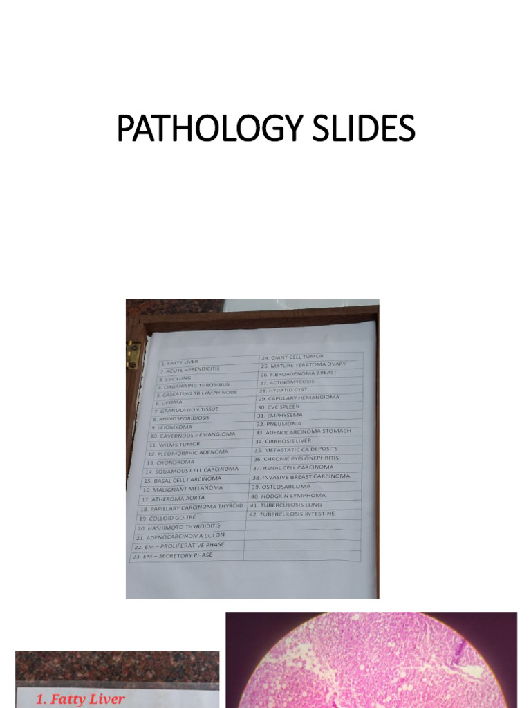 Pathology Slides (1) With Ans | PDF