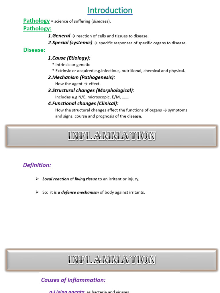 Understanding Inflammation and Its Types | PDF | Inflammation | White ...