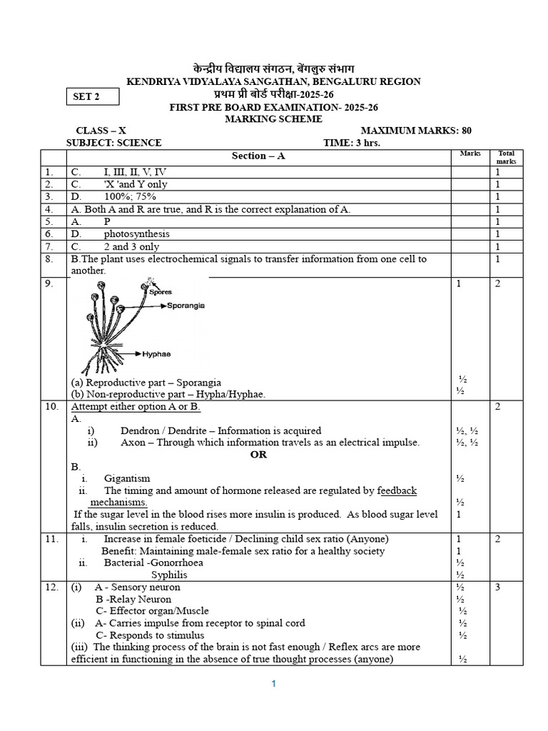 Class X Science Pre-Board Exam 2025-26 | PDF | Zygosity | Dominance ...