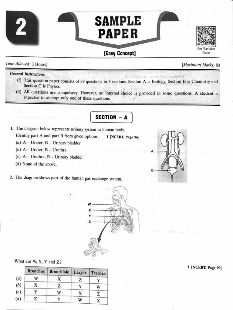 Science Paper 2 | PDF