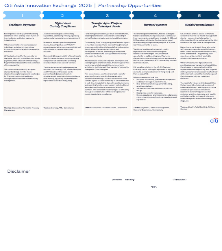 AIE 2025 - Citi Partnership Opportunities | PDF | Citigroup ...