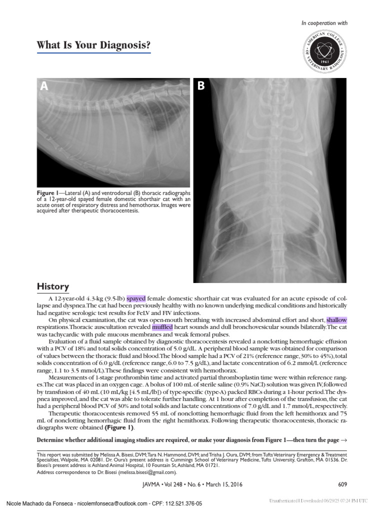 Javma-Javma 248 6 609 | PDF | Thymus | Lung