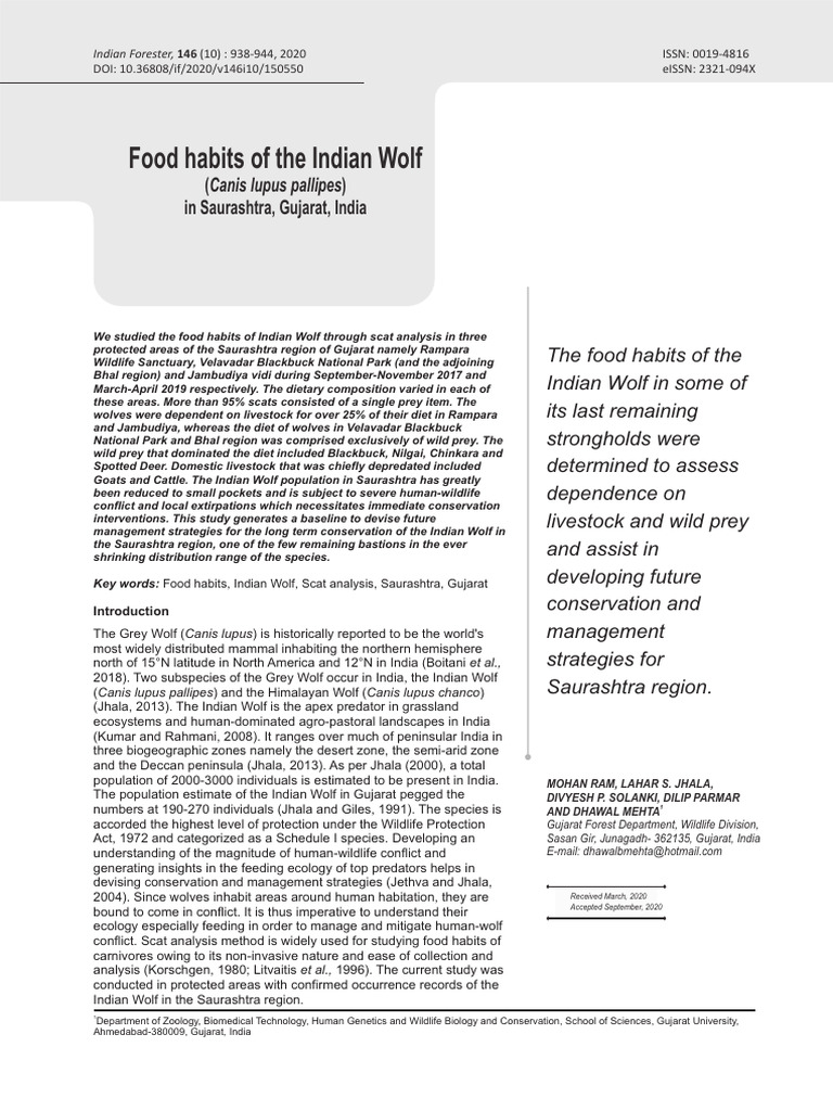 indian-wolf-diet-in-saurashtra-gujarat-pdf-canis-zoology