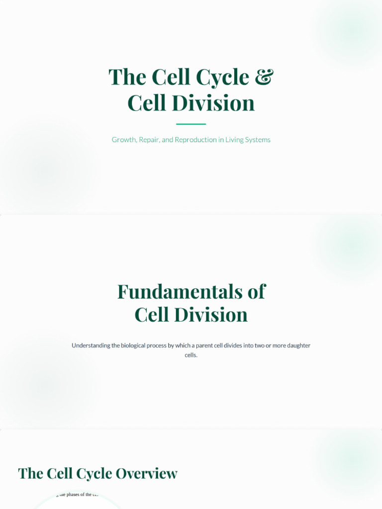 Cell Cycle and Cell Division | PDF