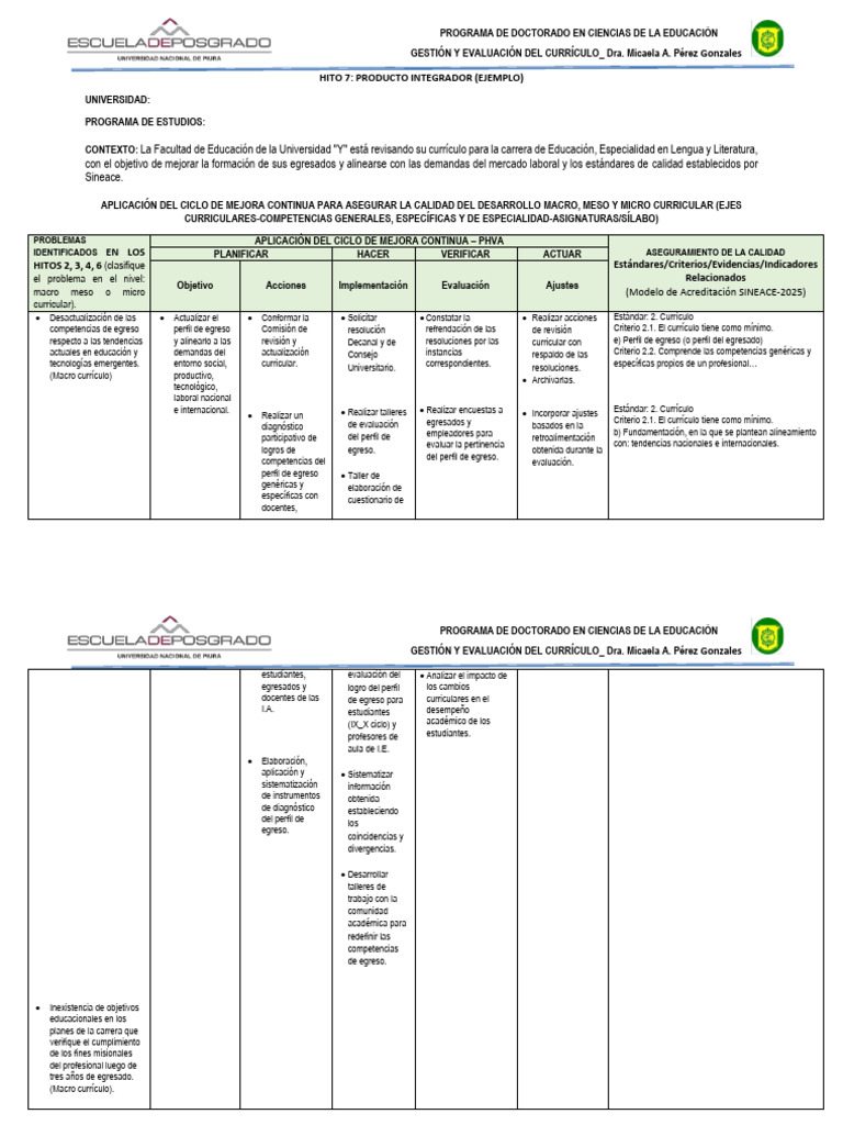 Mejora Curricular en Educación Superior | PDF | Plan de estudios ...