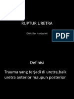 Ruptur Uretra