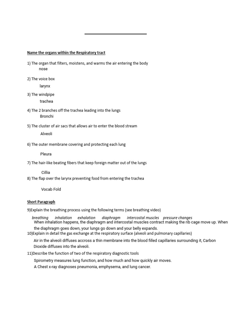Kami Export - Respiratory Review Assignment | PDF