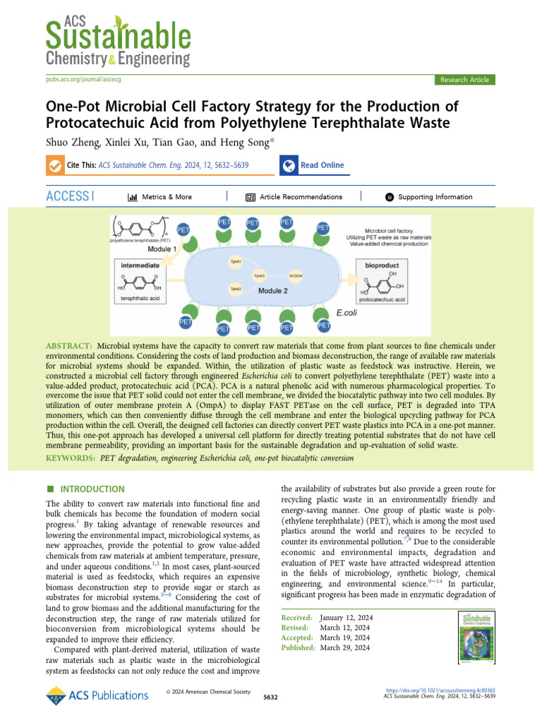 One-Pot PET Waste to Protocatechuic Acid | PDF | Proteins | Escherichia ...