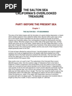 The Salton Sea - California's Overlooked Treasure