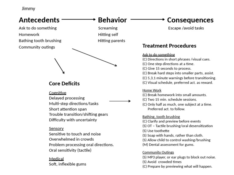 Strategies for Managing Behavioral Challenges | PDF | Cognitive ...