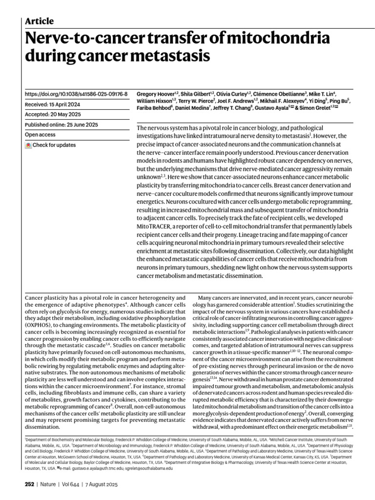 Mitochondrial Transfer in Cancer Metastasis | PDF | Mitochondrion | Cancer