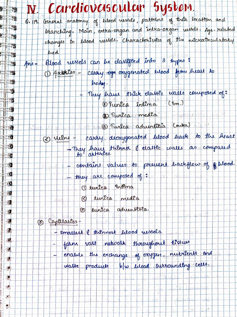 Cardiovascular System Anatomy-5 | PDF