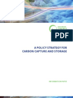 Policy Strategy For Ccs