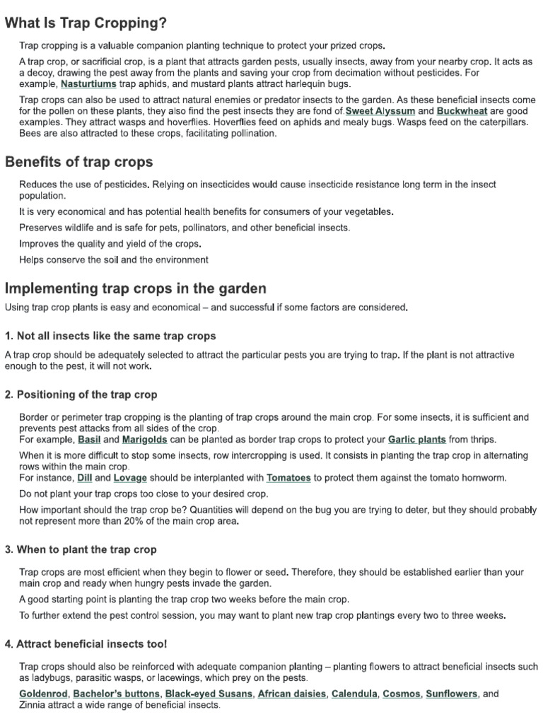 Trap Crop | PDF
