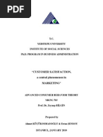 Download Customer Satisfaction A Central Phenomenon In Marketing by AHMET NURI KUCUKOSMANOGLU SN97205467 doc pdf