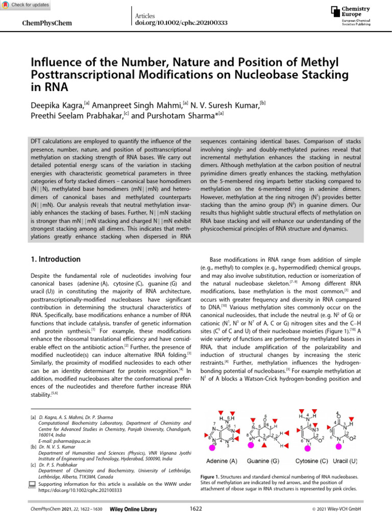 Influence Methyl Modifications Nucleobase Stacking RNA 2021 PDF | PDF ...