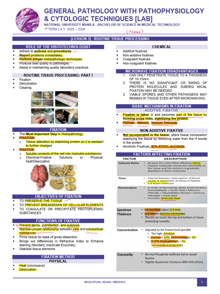 Routine Tissue Processing Techniques | PDF | Fixation (Histology ...