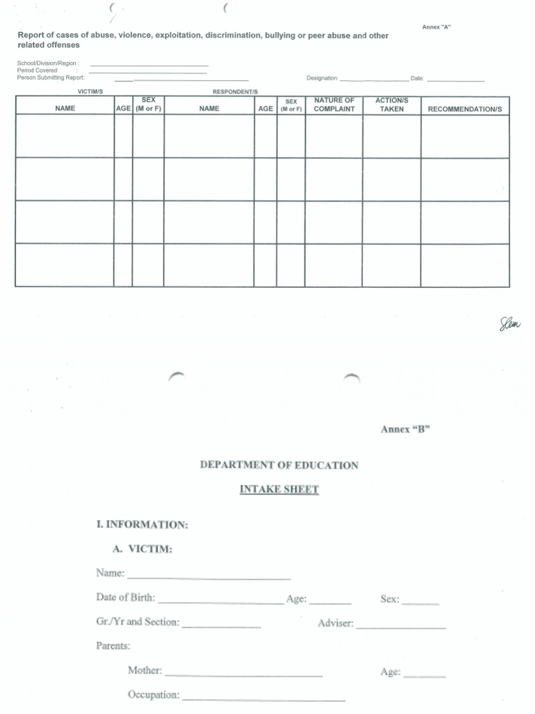 Deped Intake Sheet | PDF