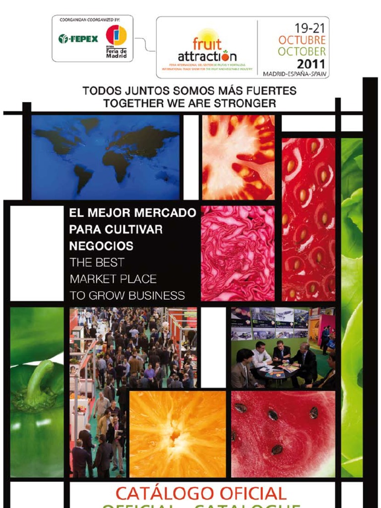 Catalogo Expo | PDF