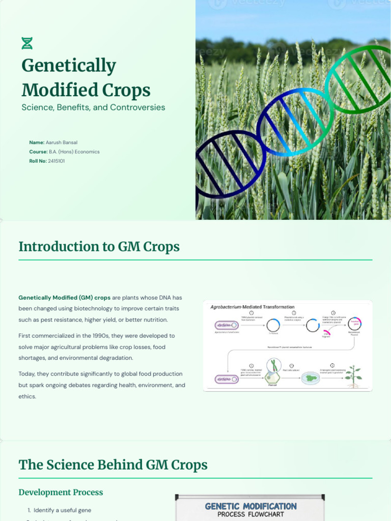 Genetically Modified Crops (1) | PDF | Genetically Modified Crops ...