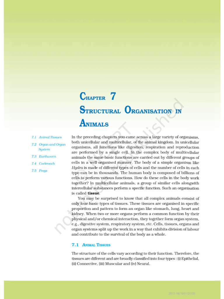 Cockroach and Tissues | PDF