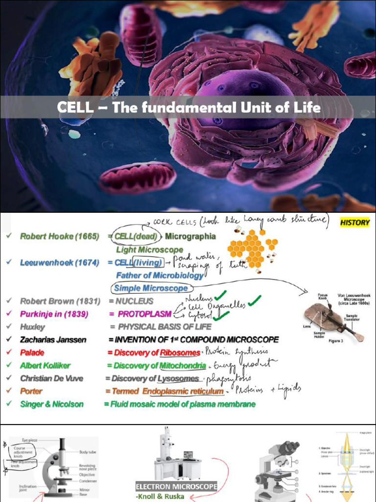 9W Cell Notes | PDF