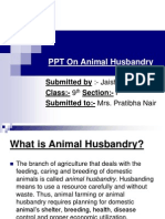 On Animal Husbandry