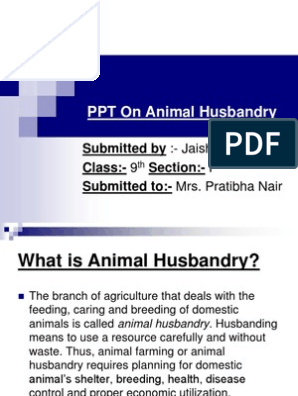 On Animal Husbandry | PDF | Coconut | Jute