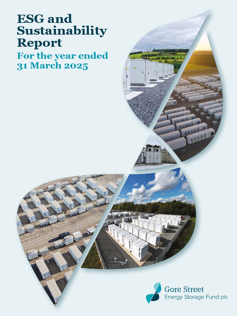 2025 Esg Sustainability Report | PDF | Clean Technology | Renewable Energy