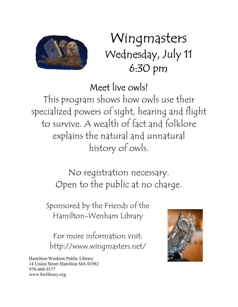 Wingmasters Flyer | PDF