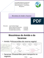 Biossintese de Amido e Sacarose