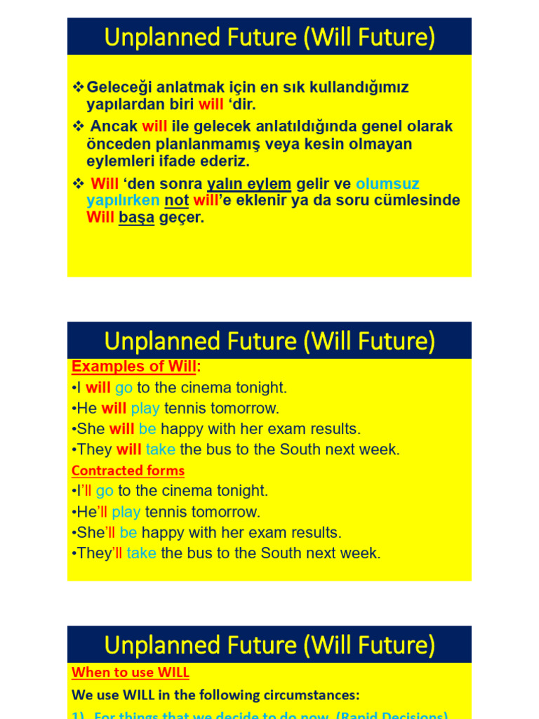 Unplanned Future (Will Future) | PDF