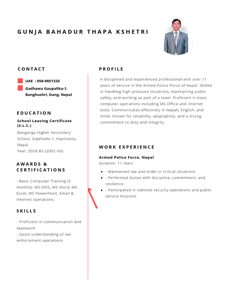 Armed Police Force Professional Profile | PDF