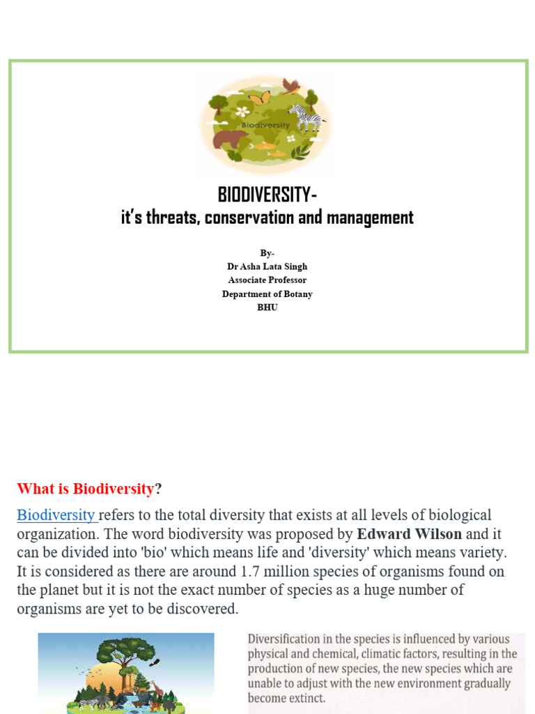 Biodiversity: Threats and Conservation Strategies | PDF | Biodiversity ...