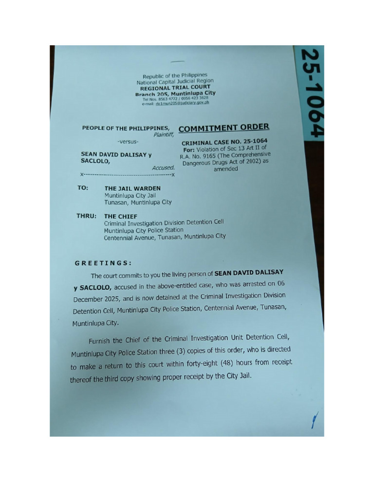 Commitment Order and Infor 25 1064 Ppvsean David Dalisay | PDF