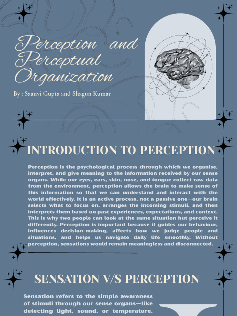 Perception and Perceptual Organization | PDF | Perception | Senses