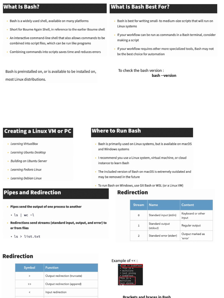 Bash Script | PDF
