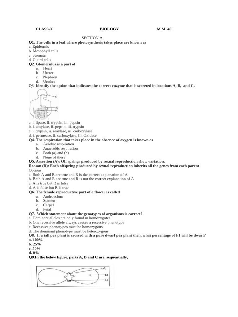 10 Full Bio Test Tuition | PDF | Dominance (Genetics) | Zygosity