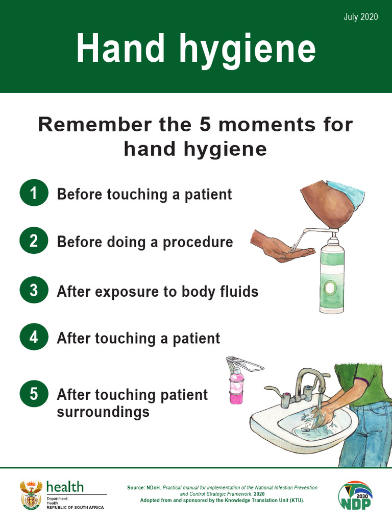 NDOH 5 Moments Hand Hygiene | PDF