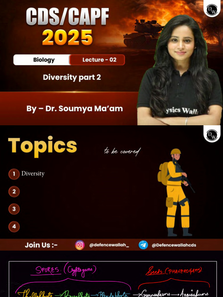 Diversity 02 Class Notes | PDF