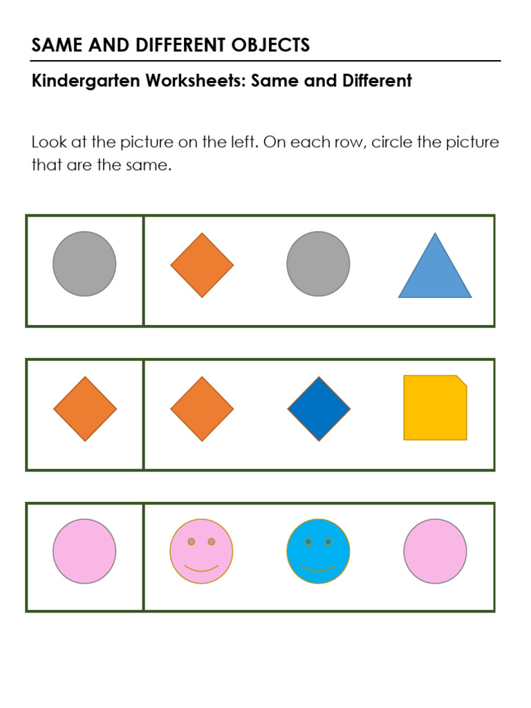 W 2 1 Same and Different Objects | PDF