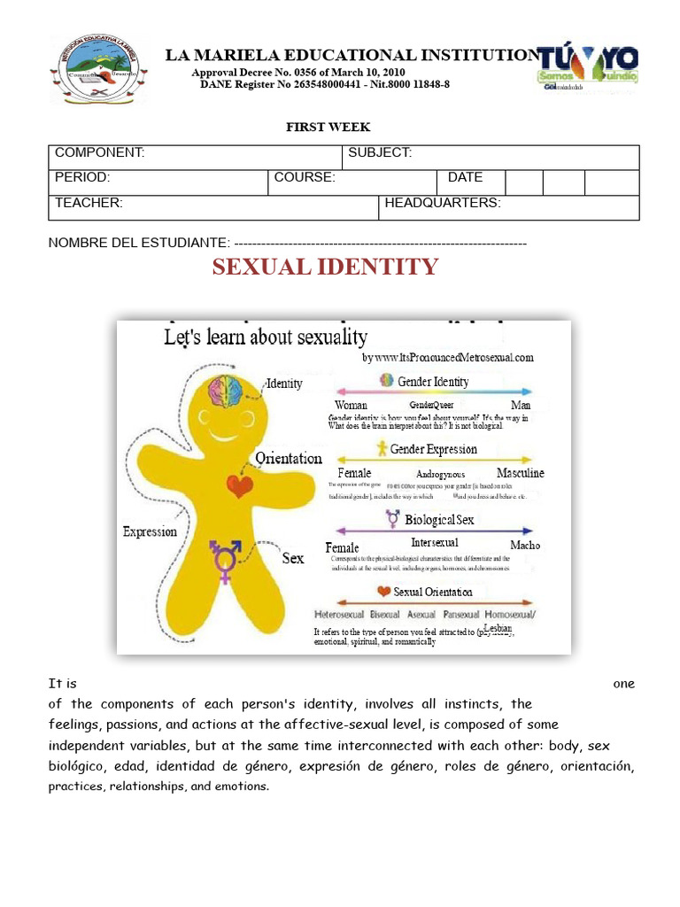 Sexual Identity Workshop Curriculum | PDF | Gender | Gender Studies