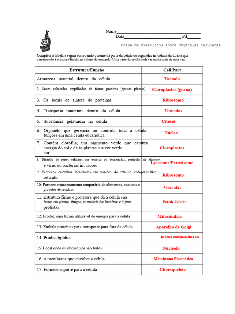 Exercícios sobre Organelas Celulares | PDF | Célula (Biologia) | Organelo